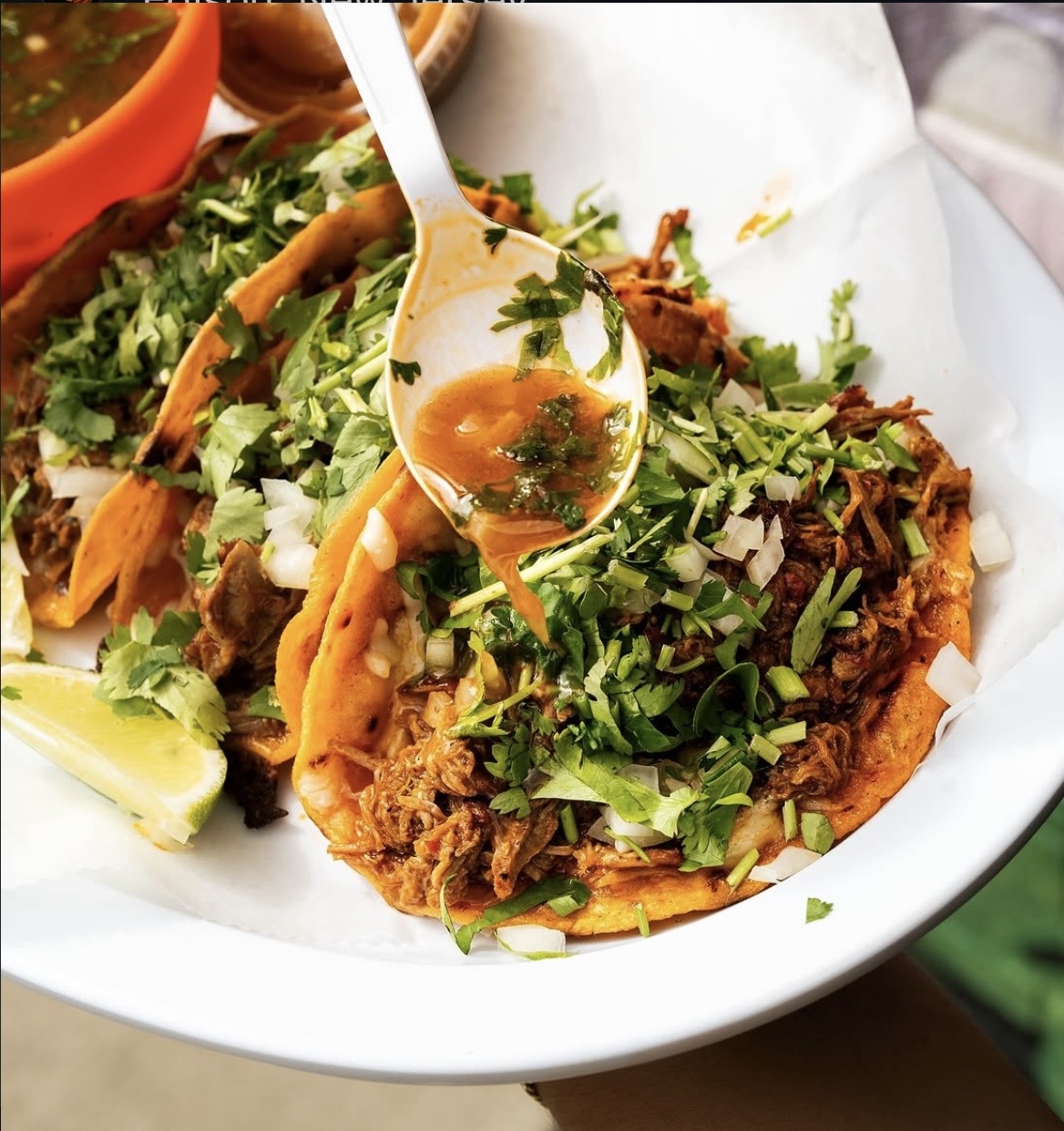 Birria Tacos